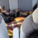 "Posso davvero dire che senza di te non avremmo saputo come affrontare questi ultimi mesi. Grazie ai tuoi preziosi consigli, alla tua disponibilità, alla tua professionalità, ma soprattutto grazie al tuo AMORE non saremmo dove siamo oggi. Non esistono le parole giuste per dirti GRAZIE come meriteresti, ma sappi che SEI NEI NOSTRI CUORI e nella nostra famiglia."
Con tanto affetto,
Laura, Marco e i bassotti