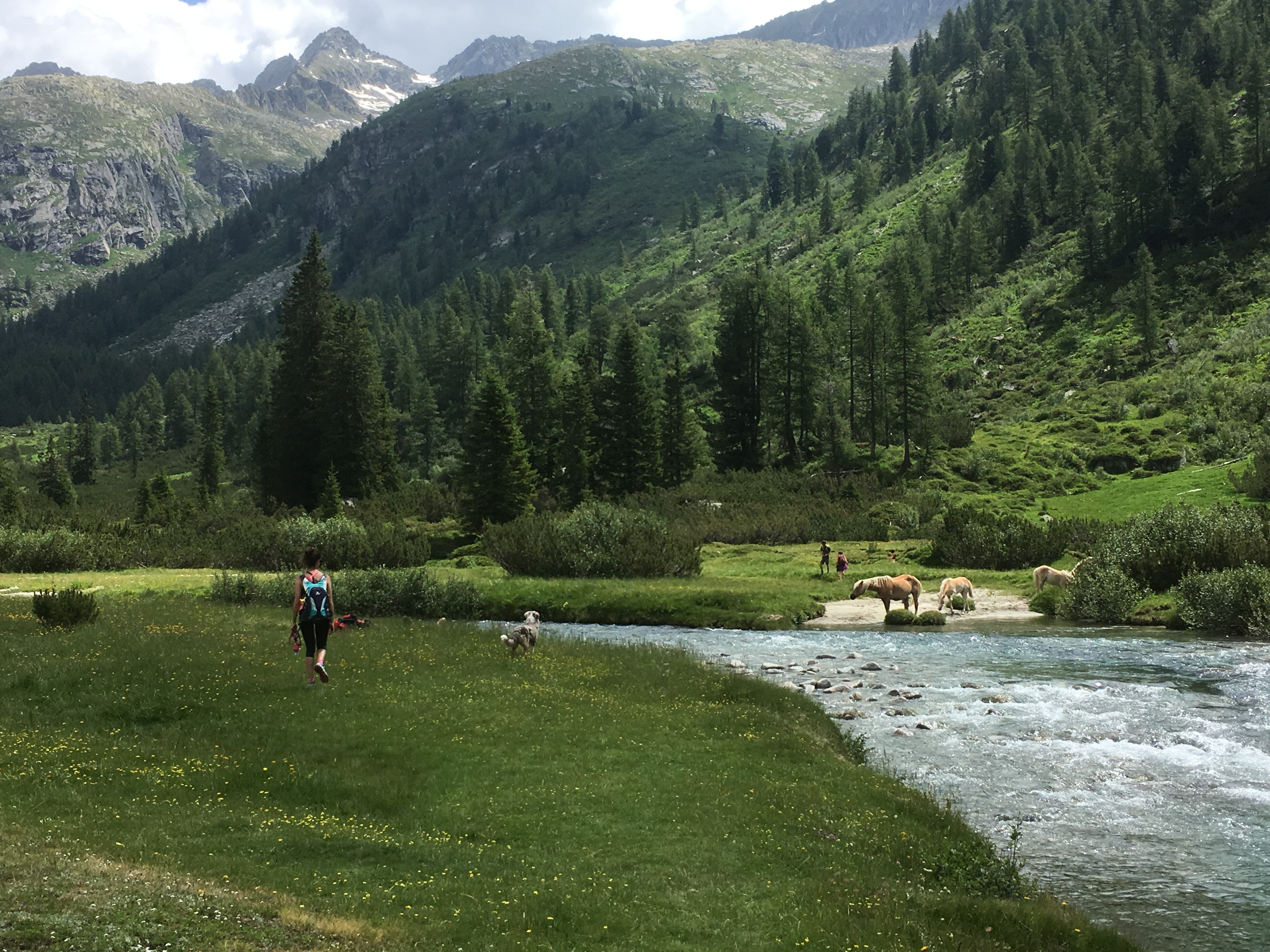 Al momento stai visualizzando Dog Trekking – Val di Fumo – 22/09/2019