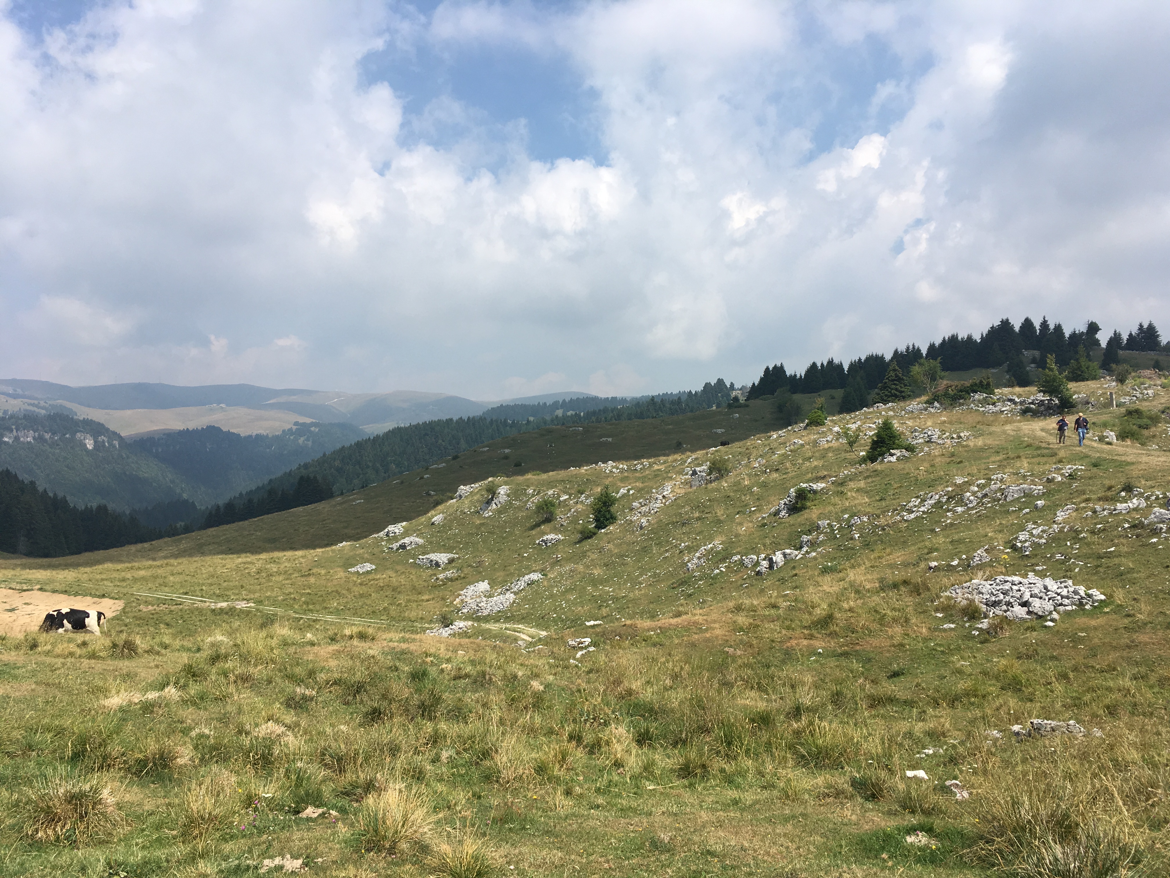 Al momento stai visualizzando Dog Walking – Lessinia – 07/09/2019
