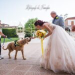 "Ho sempre desiderato che il mio cagnolone partecipasse al giorno più importante della mia vita, ed è stato possibile grazie a Silvia. È sempre stata molto disponibile, gentile, ha fatto di tutto per esaudire le nostre richieste! Felicissima di averla ingaggiata!" Ilaria
